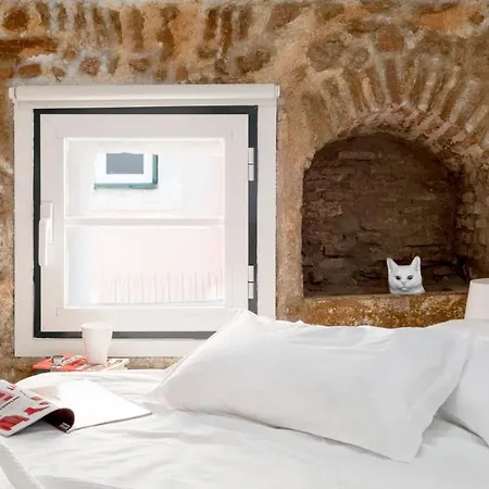 Apartment Plum Guide - Purr-fect *